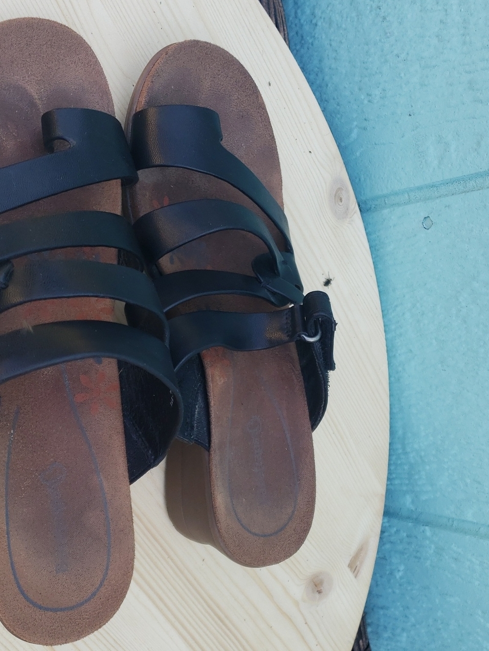 Baretraps Black Strappy Women’s Sandals — Classic Comfort